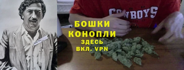 гашик Козельск