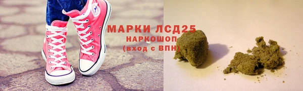 гашик Козельск