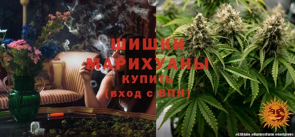 гашик Козельск
