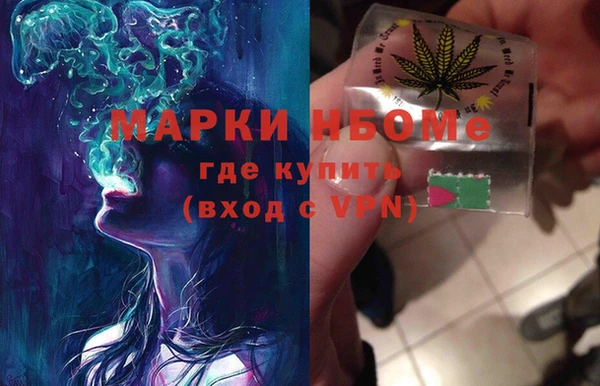 гашик Козельск