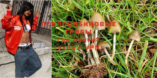 apvp Кодинск