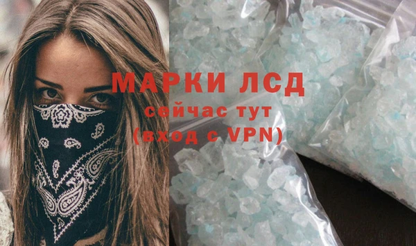 гашик Козельск