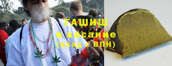 гашик Козельск