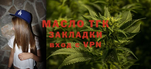 гашик Козельск