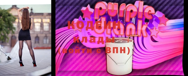 apvp Кодинск