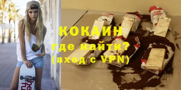 гашик Козельск