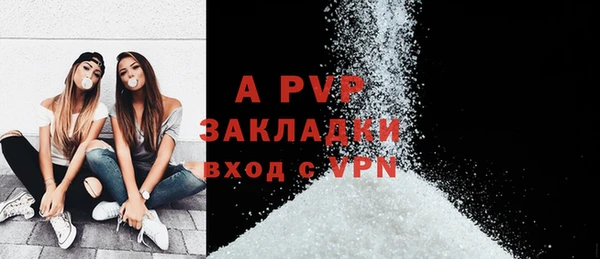 гашик Козельск