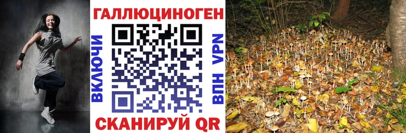 наркошоп  Кызыл  гидра сайт  Галлюциногенные грибы Magic Shrooms 