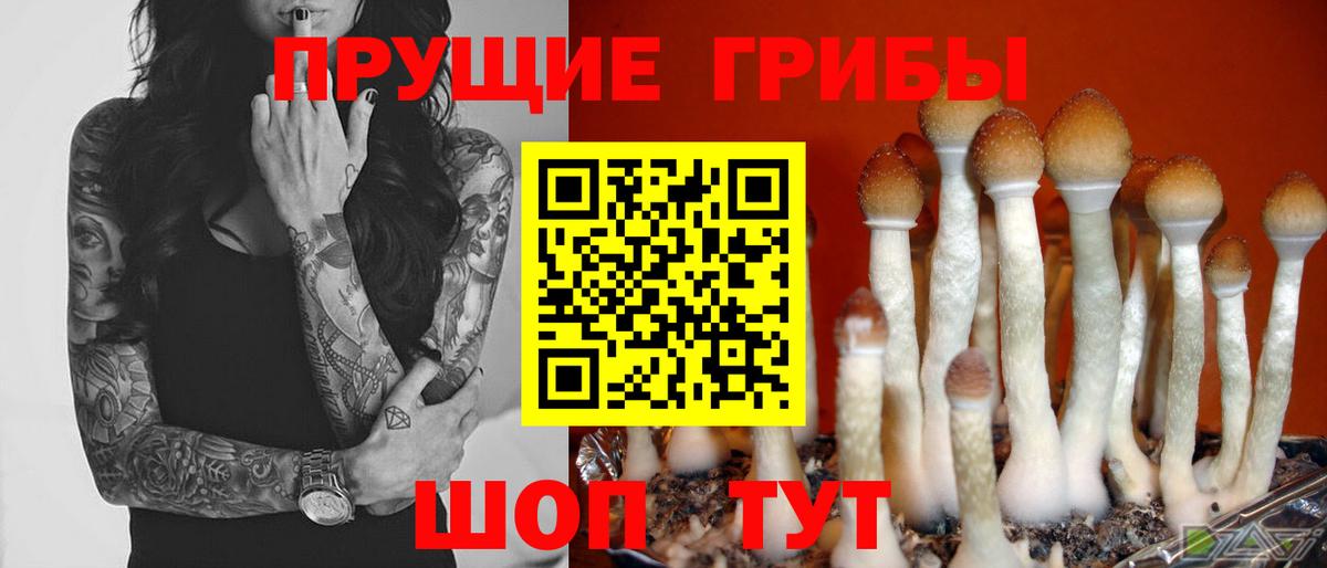 Псилоцибиновые грибы Psilocybine cubensis  Вход с VPN  Кызыл 
