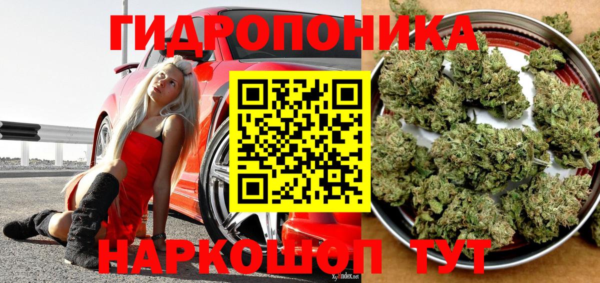 Марихуана сатива  Марихуана марихуана  Вход с VPN  Кызыл  Канабис Ganja 